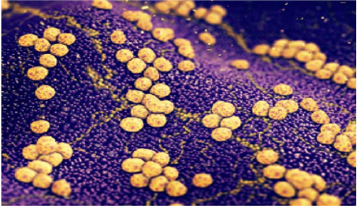 biomedres-openaccess-journal-bjstr