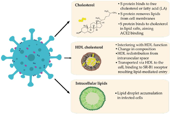 biomedres-openaccess-journal-bjstr