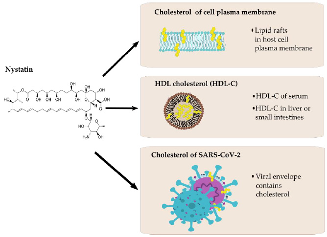 biomedres-openaccess-journal-bjstr