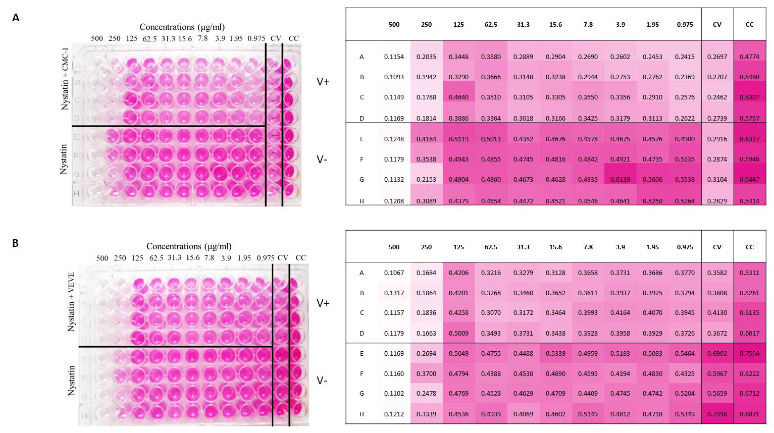 biomedres-openaccess-journal-bjstr