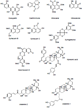 biomedres-openaccess-journal-bjstr