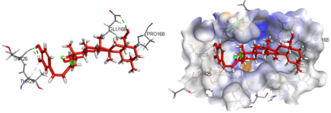 biomedres-openaccess-journal-bjstr