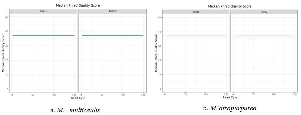biomedres-openaccess-journal-bjstr
