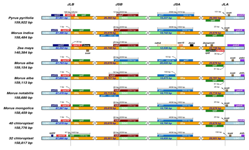 biomedres-openaccess-journal-bjstr