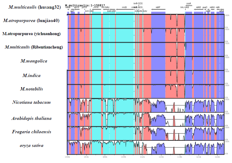 biomedres-openaccess-journal-bjstr