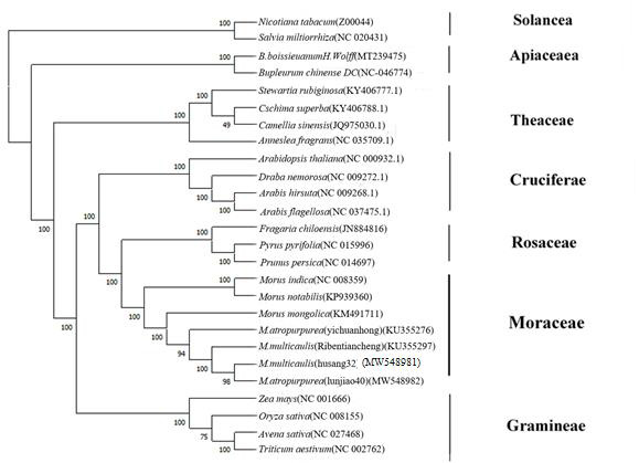biomedres-openaccess-journal-bjstr