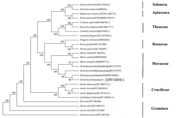 biomedres-openaccess-journal-bjstr
