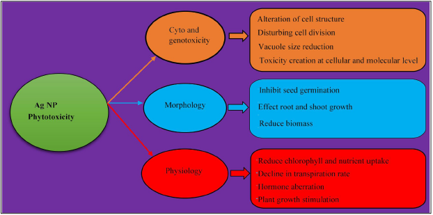 biomedres-openaccess-journal-bjstr