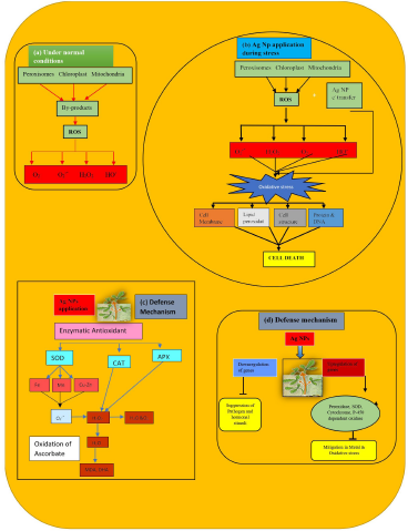 biomedres-openaccess-journal-bjstr