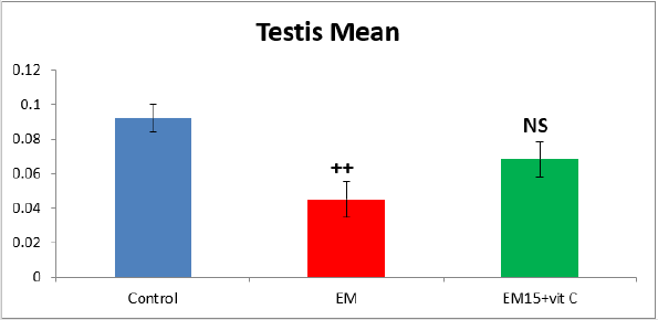 biomedres-openaccess-journal-bjstr