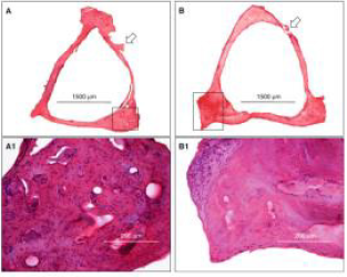 biomedres-openaccess-journal-bjstr