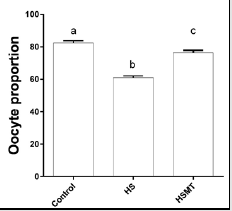 biomedres-openaccess-journal-bjstr