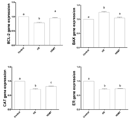 biomedres-openaccess-journal-bjstr