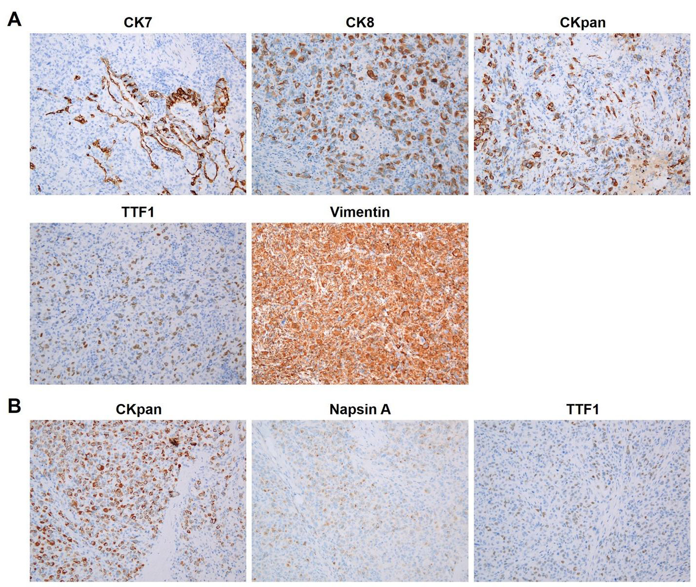 biomedres-openaccess-journal-bjstr