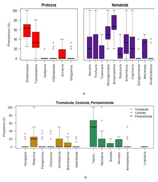 biomedres-openaccess-journal-bjstr
