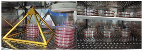 biomedres-openaccess-journal-bjstr