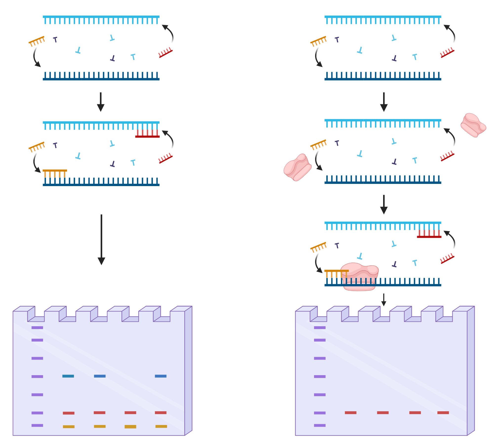 biomedres-openaccess-journal-bjstr