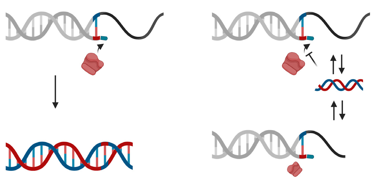 biomedres-openaccess-journal-bjstr