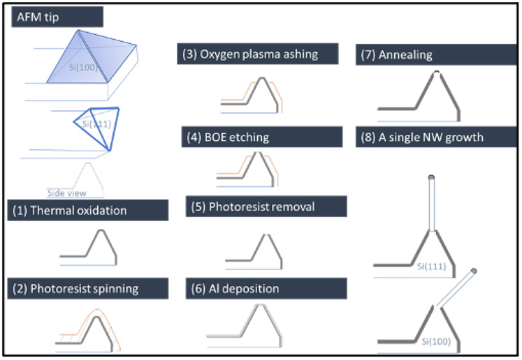 biomedres-openaccess-journal-bjstr