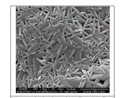 biomedres-openaccess-journal-bjstr