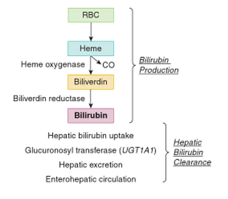 biomedres-openaccess-journal-bjstr