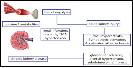 biomedres-openaccess-journal-bjstr