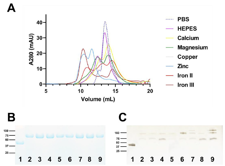 biomedres-openaccess-journal-bjstr