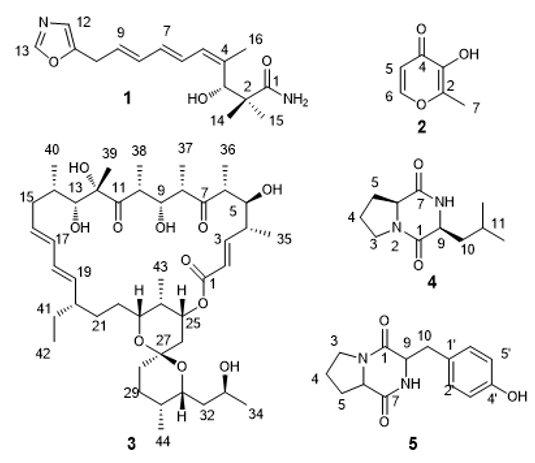 biomedres-openaccess-journal-bjstr