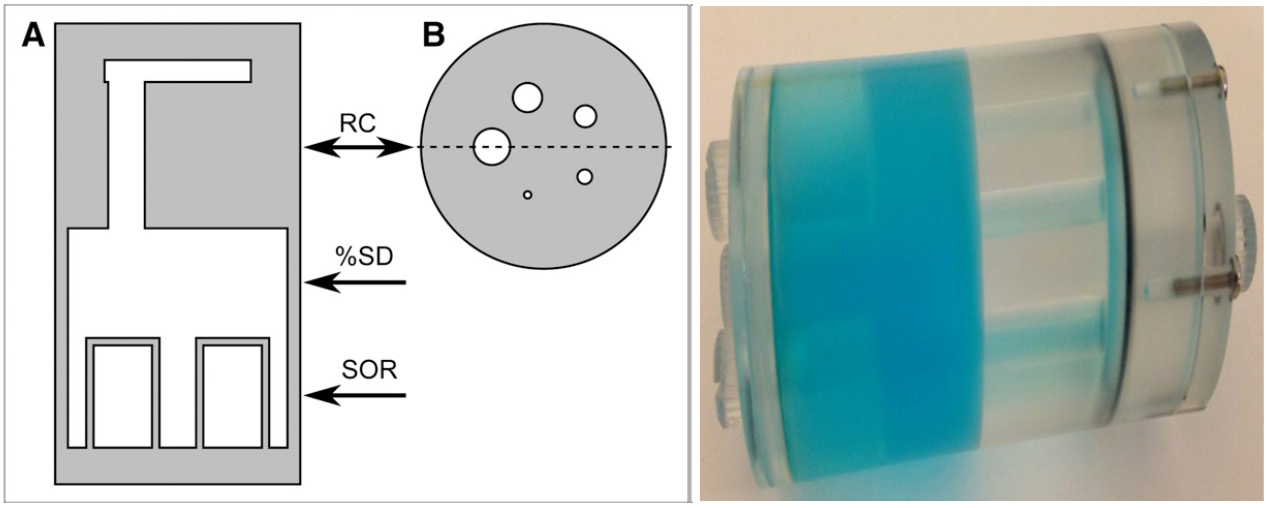 biomedres-openaccess-journal-bjstr