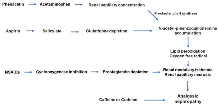 biomedres-openaccess-journal-bjstr