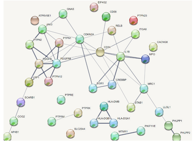 biomedres-openaccess-journal-bjstr