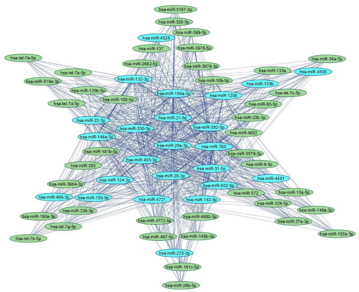 biomedres-openaccess-journal-bjstr
