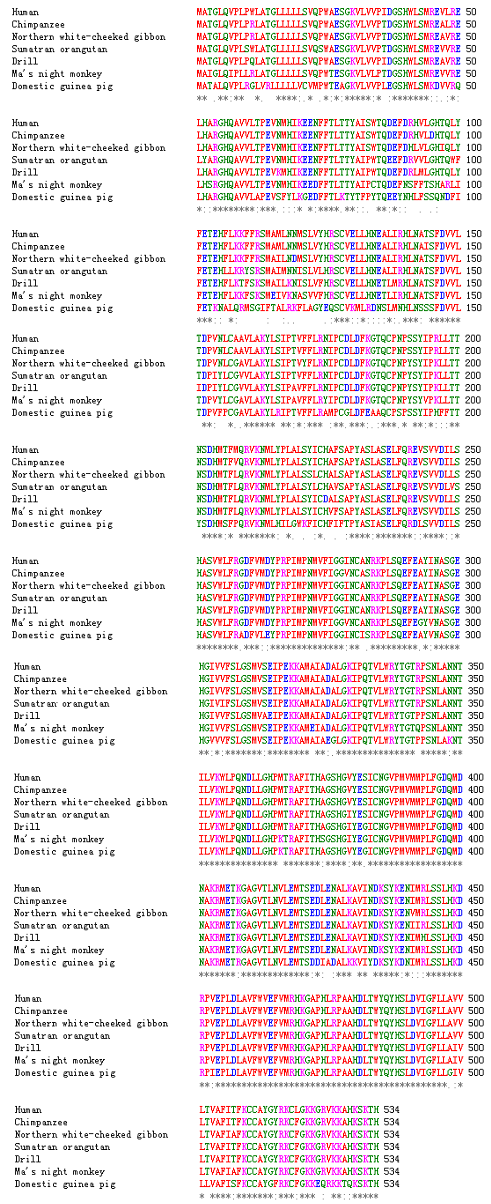 biomedres-openaccess-journal-bjstr