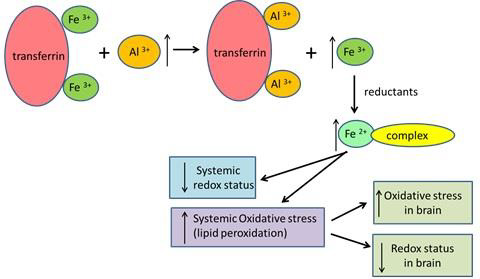 biomedres-openaccess-journal-bjstr