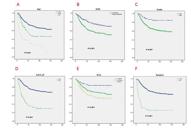 biomedres-openaccess-journal-bjstr