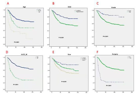 biomedres-openaccess-journal-bjstr