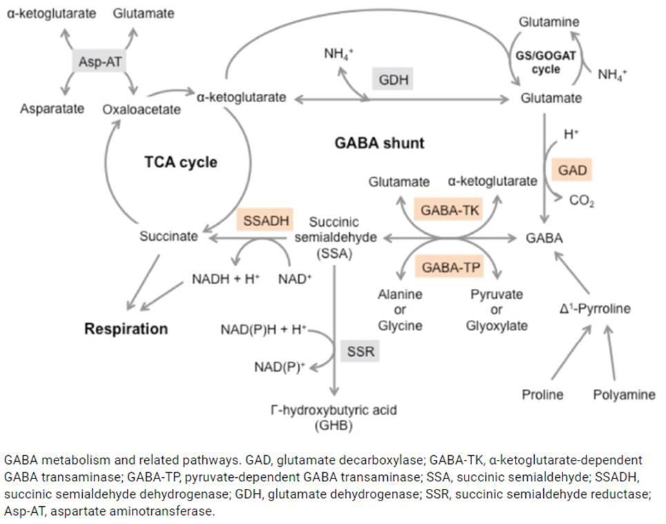 biomedres-openaccess-journal-bjstr