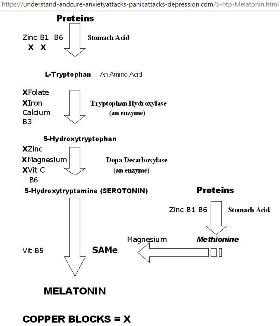 biomedres-openaccess-journal-bjstr