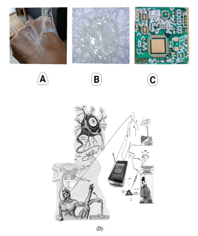 biomedres-openaccess-journal-bjstr