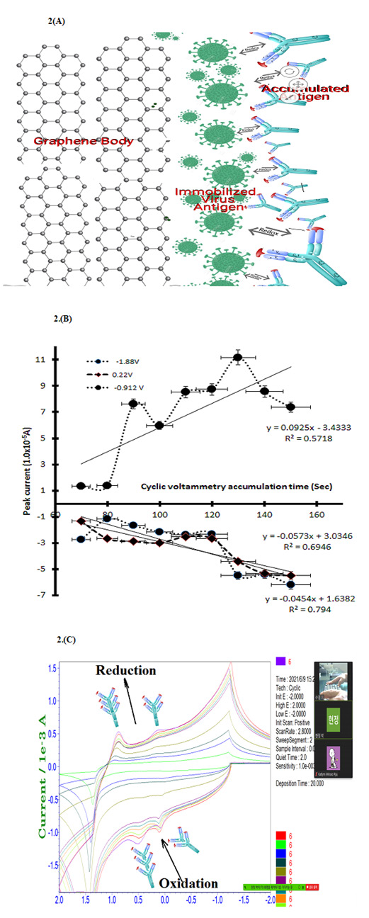 biomedres-openaccess-journal-bjstr