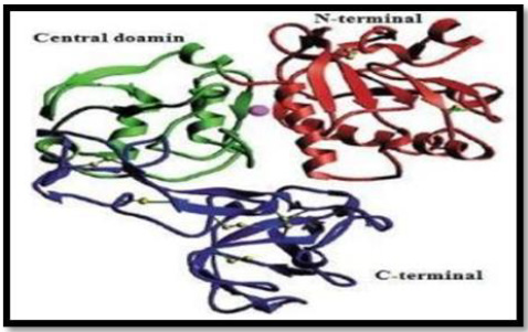 biomedres-openaccess-journal-bjstr