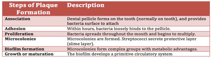 biomedres-openaccess-journal-bjstr