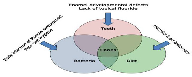 biomedres-openaccess-journal-bjstr