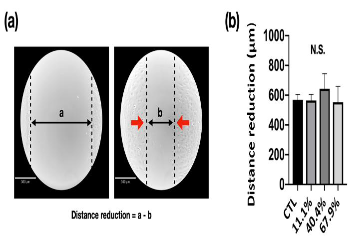 biomedres-openaccess-journal-bjstr