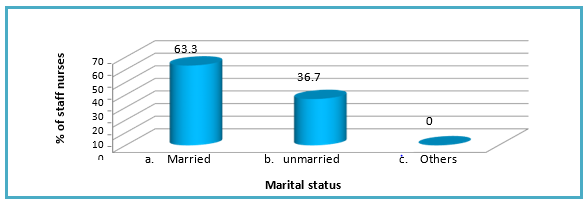 biomedres-openaccess-journal-bjstr