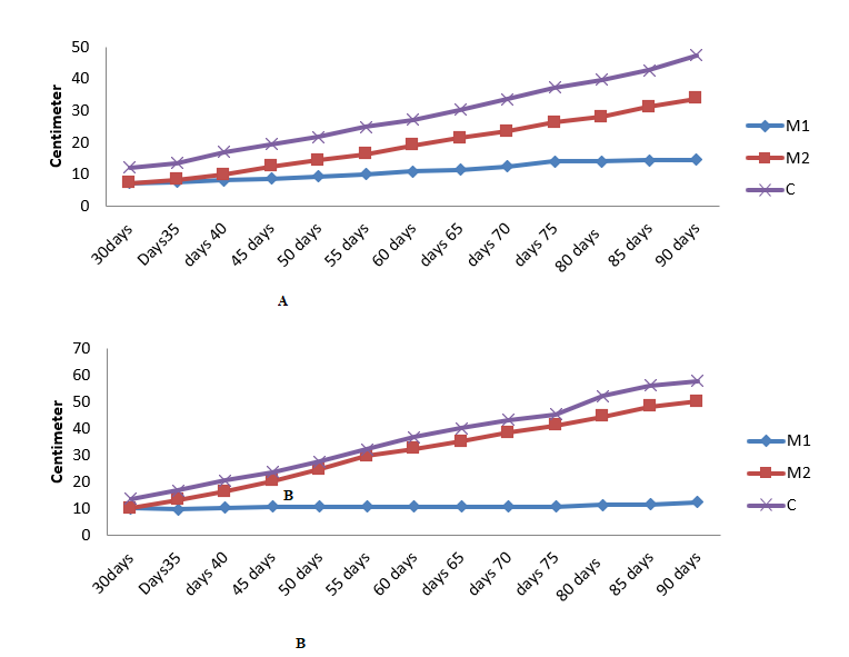 biomedres-openaccess-journal-bjstr