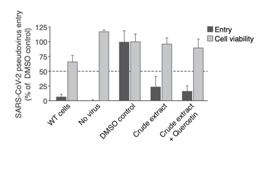 biomedres-openaccess-journal-bjstr