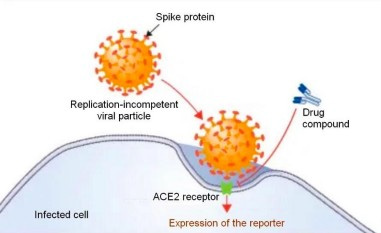 biomedres-openaccess-journal-bjstr