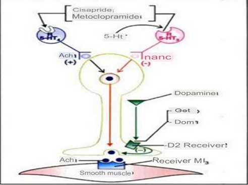 biomedres-openaccess-journal-bjstr