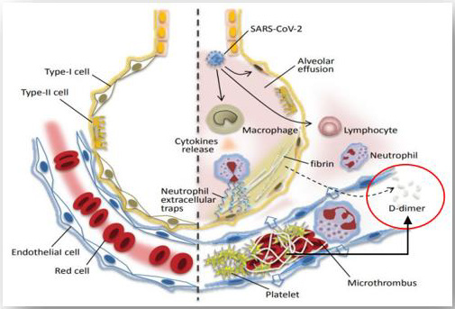 biomedres-openaccess-journal-bjstr